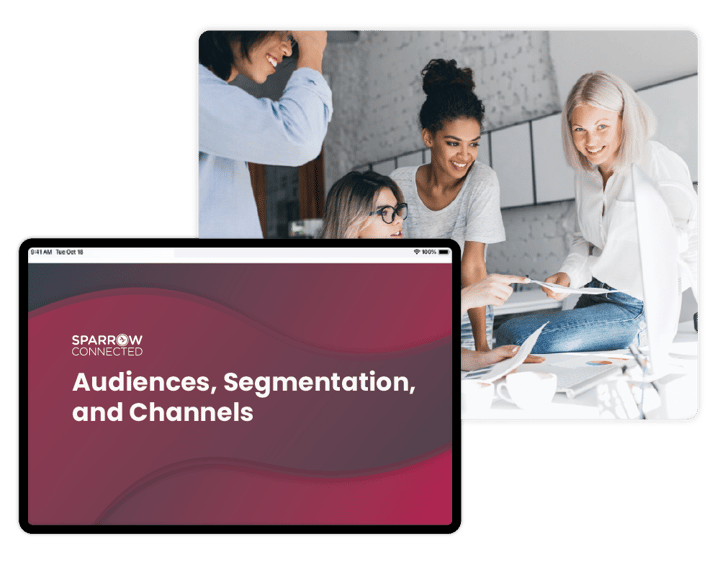 Audiences, Segmentation, and Channels